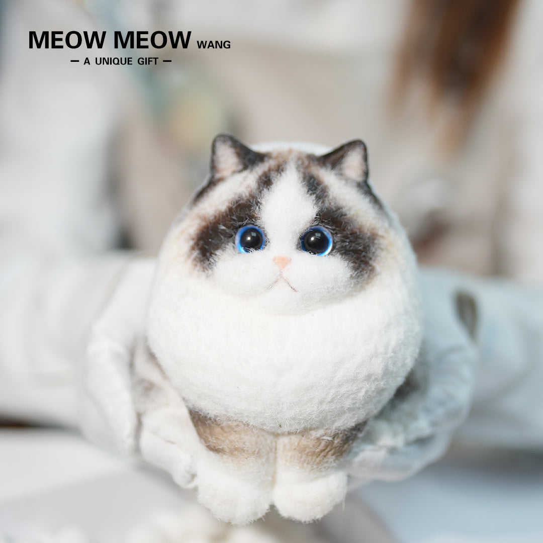 A22:A ColourPoint Ragdoll Cat