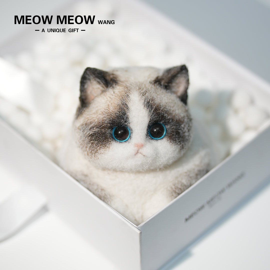 C36:Chubby Elf Ragdoll Cat