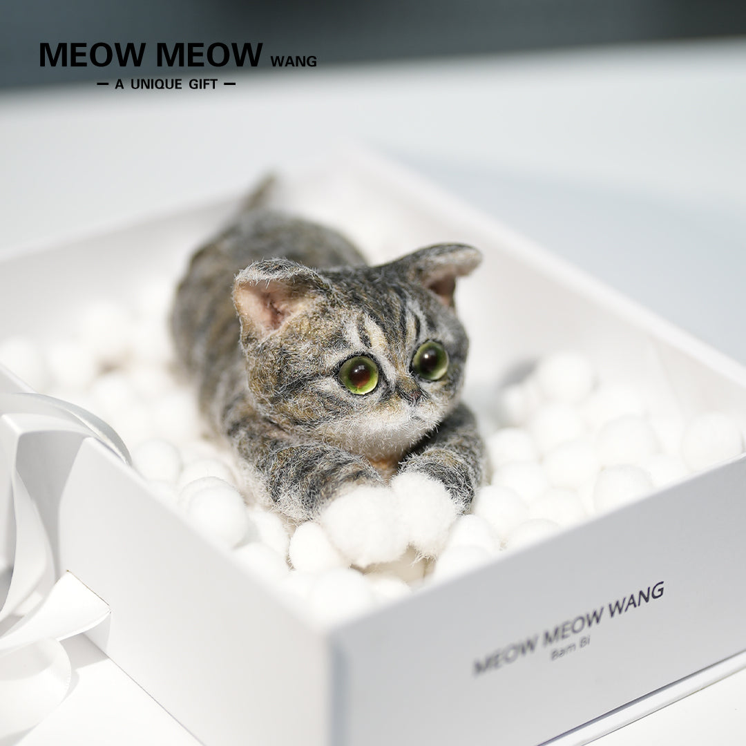 B22:A Lying Tabby Cat
