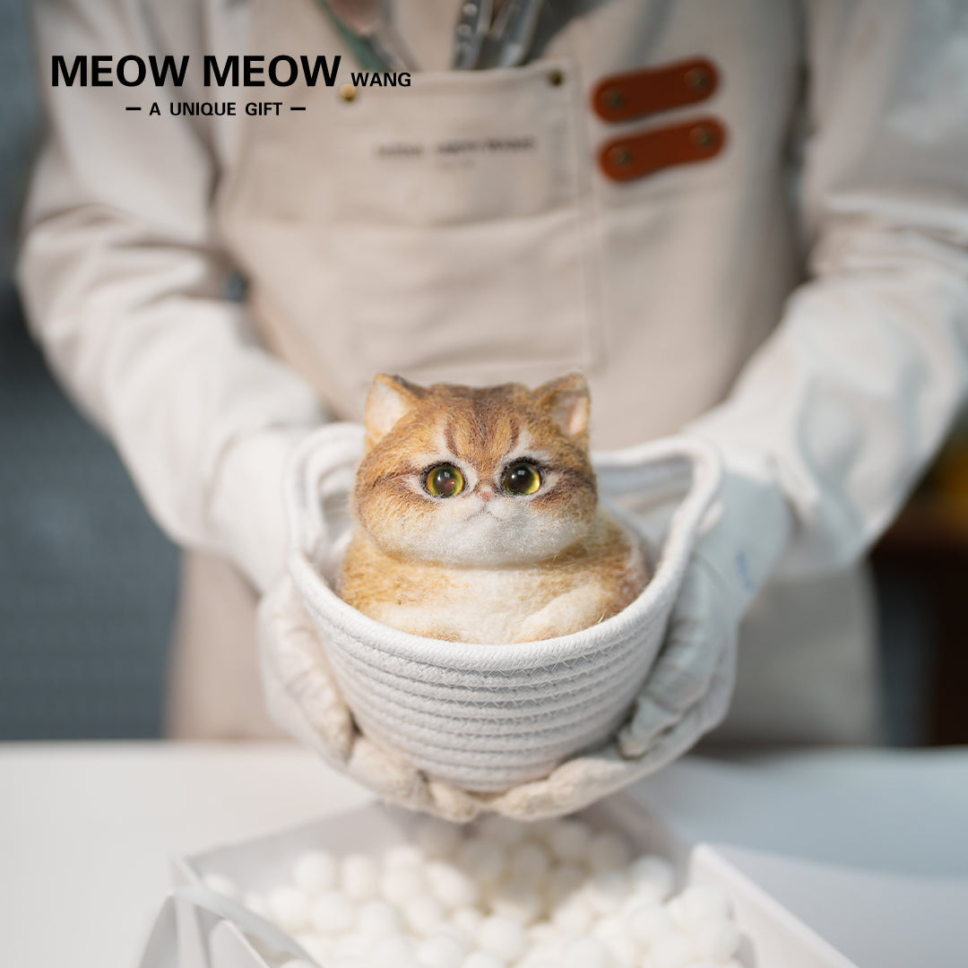 C29:A Unique Golden Shaded Tabby Cat