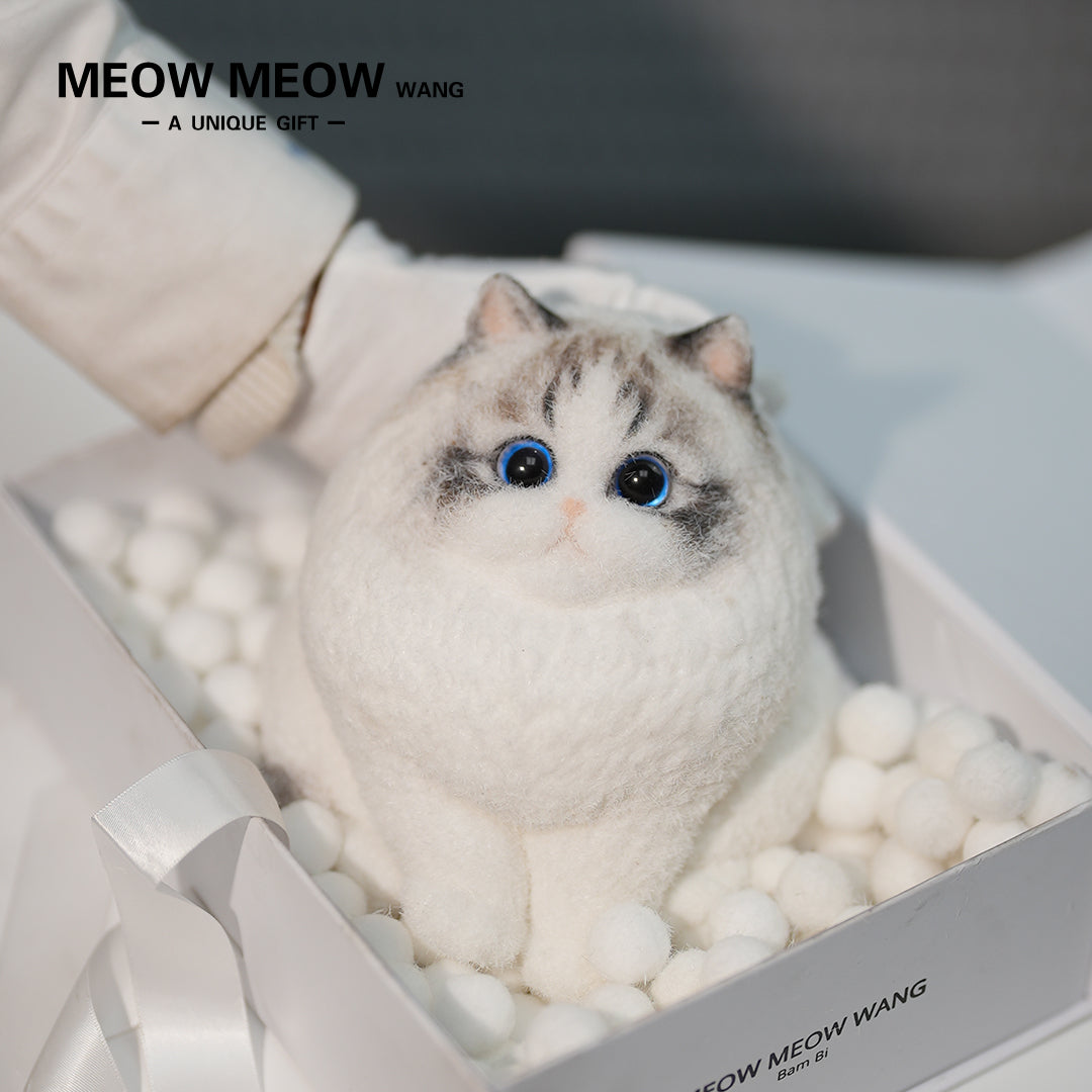 A17:Chubby And Cute Ragdoll Cat
