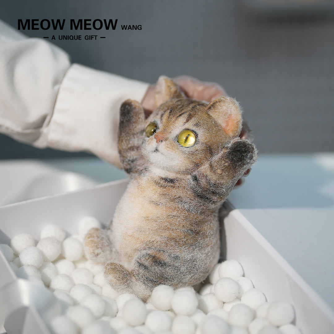 B09:A Yellow Cat With Vertical Pupils