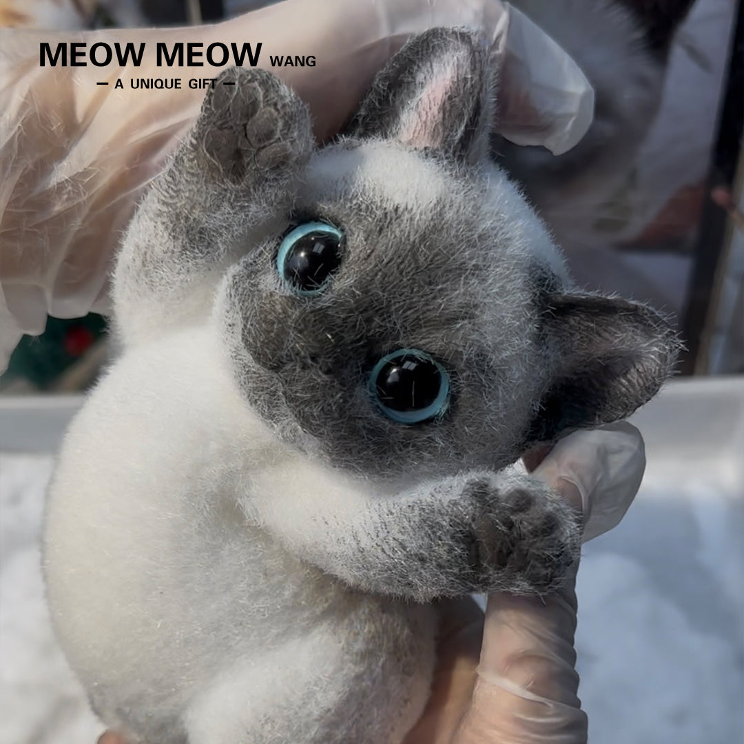 A05:ovely Slim Siamese Cat
