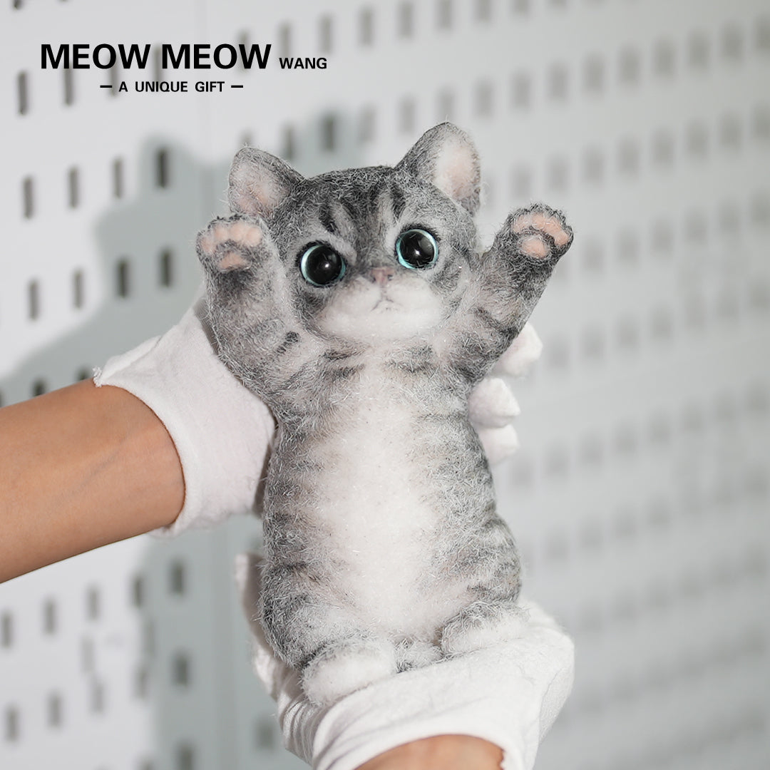 B07:Skinny Cat With Pink Paws And Blue Eyes