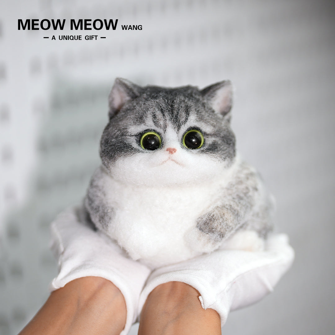 C17:Raccoon Cat With White Gloves And Green Eyes.