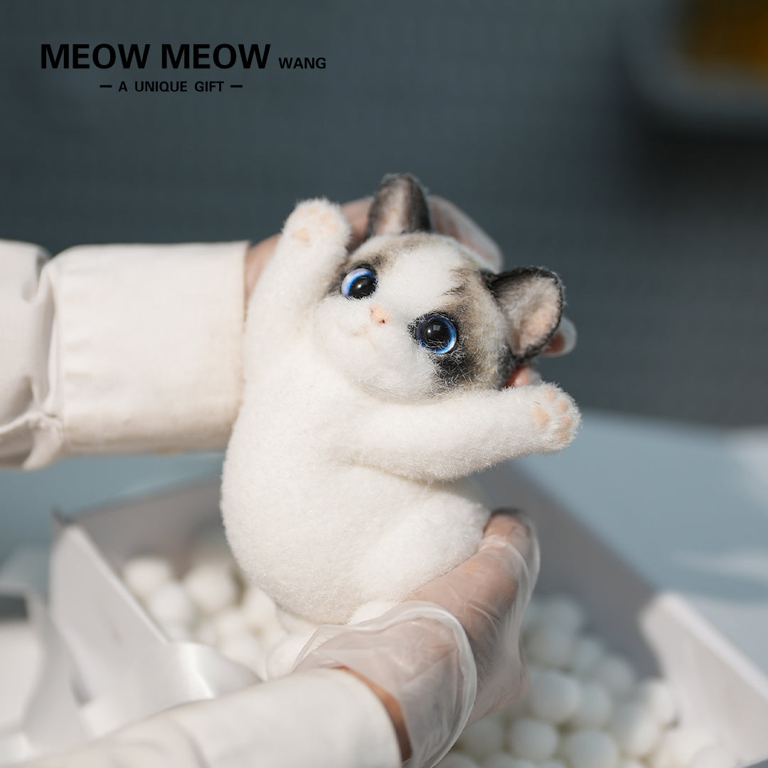B17:Blue-Eyed Cute Doll Cat Raising Its Paw