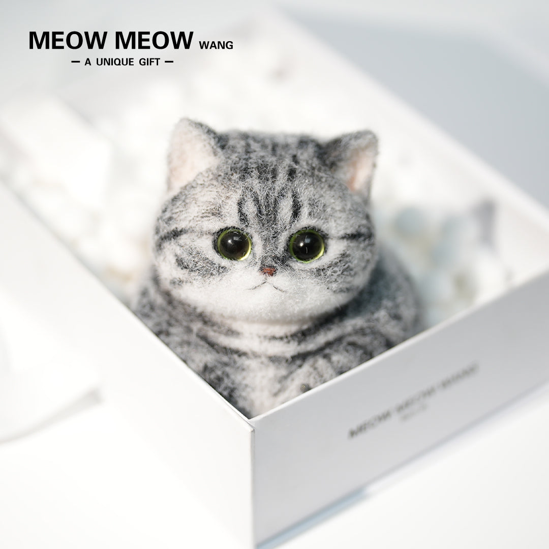 C25:A Chubby Silver-Grey Cat