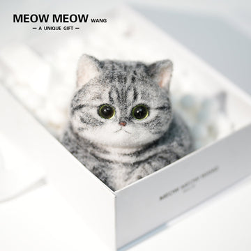 C25:A Chubby Silver-Grey Cat