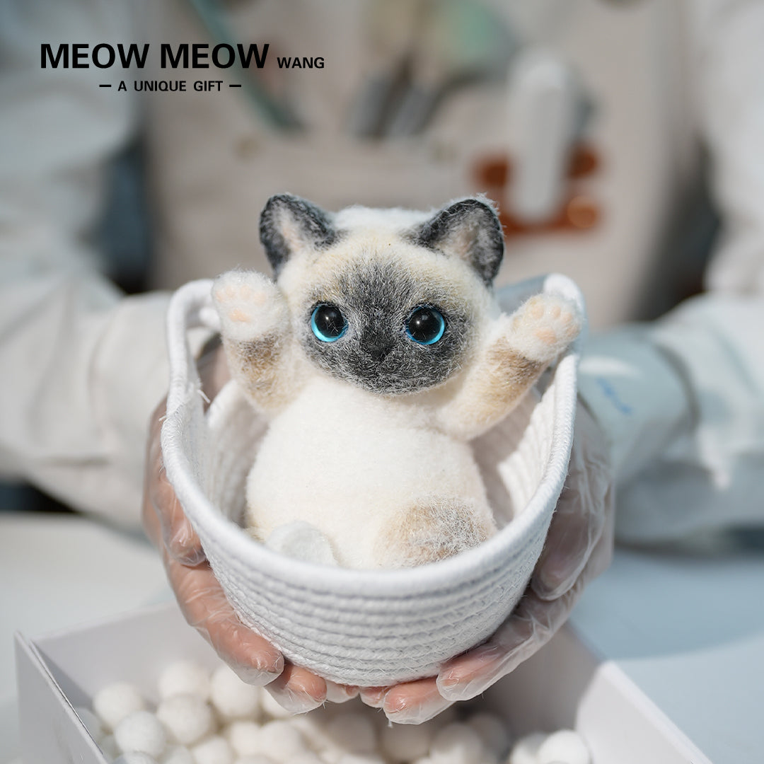 B19:Light-Coloured Siamese Kitten