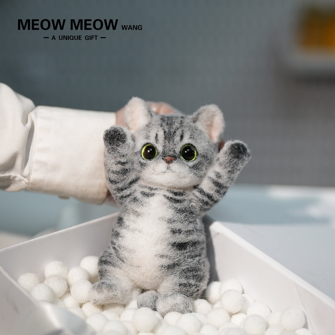 B11:A Tabby Cat With Green Eyes