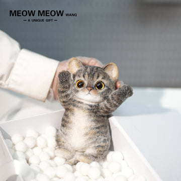 B10:A Cute Yellow-Brown Kitten