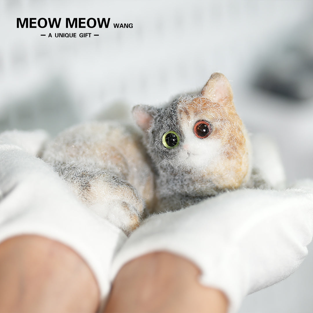 E04:Fluffy Heteromyptic Kitten