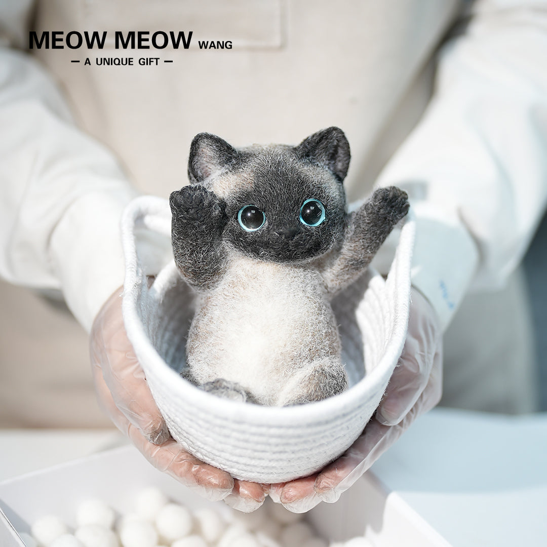 B13:Soft And Skinny Siamese Cat