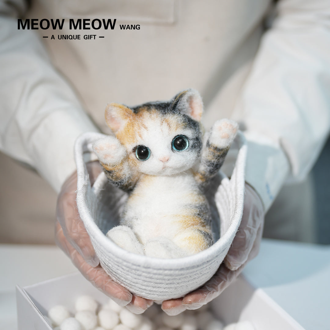 B18:The Calico kitten Curled Up In The Basket