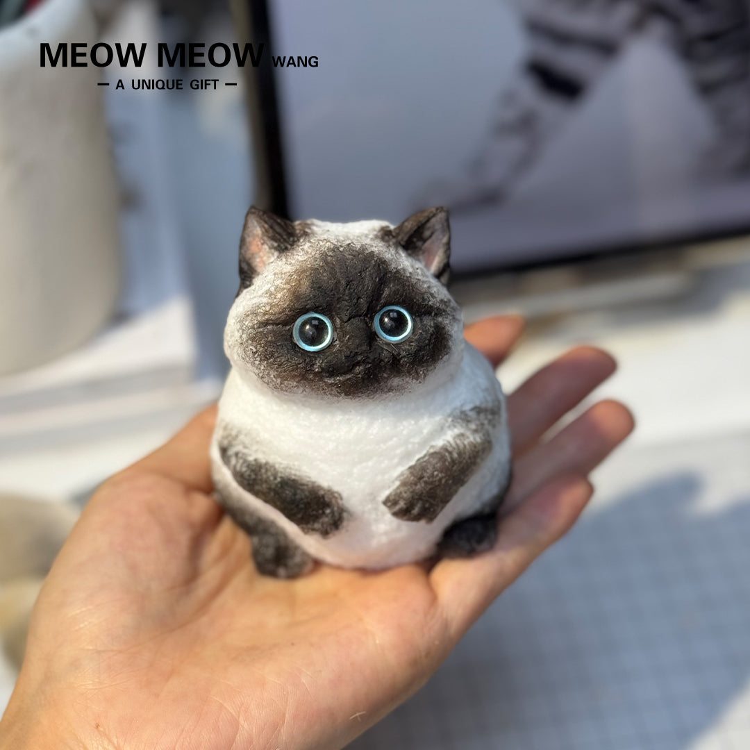 E011:Cute Mini Siamese Cat