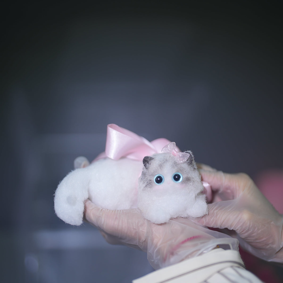E004:  New Squishy Ragdoll Kitty/ Princess Kitty