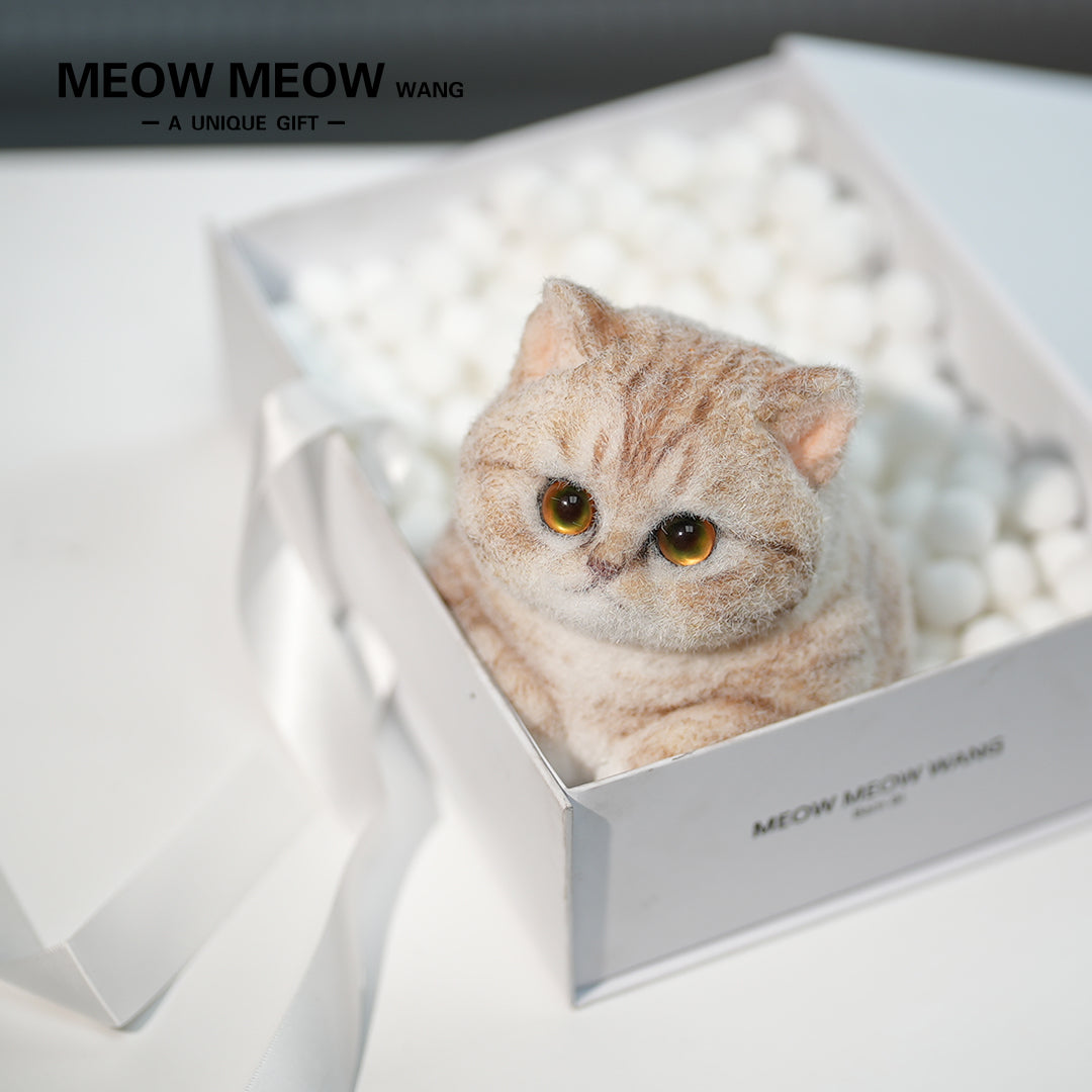C30:Orange And White Tabby Cat