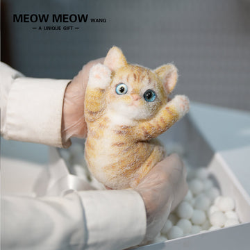 B16:Cute Little Golden-Orange Kitten