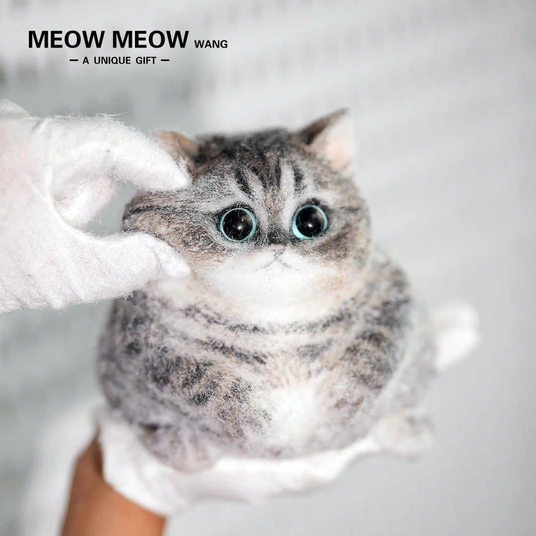 C18:Cute Chubby Black Brown Tabby Cat