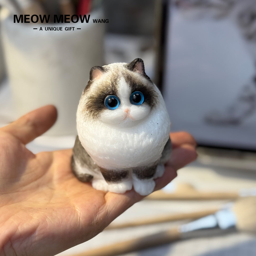 E006:Cute Miniature Ragdoll Cat