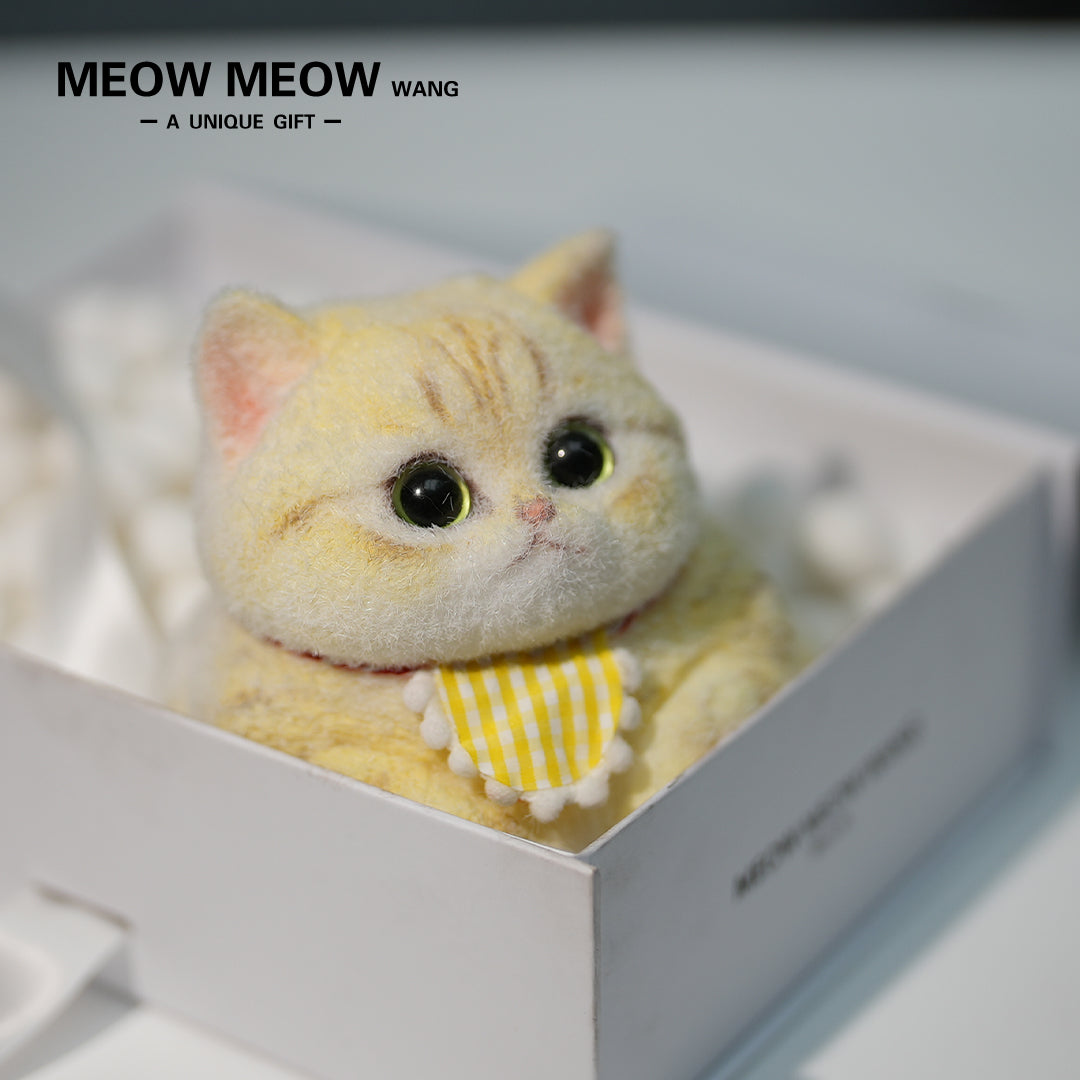 C21:A chubby, Goose-Yellow Cat