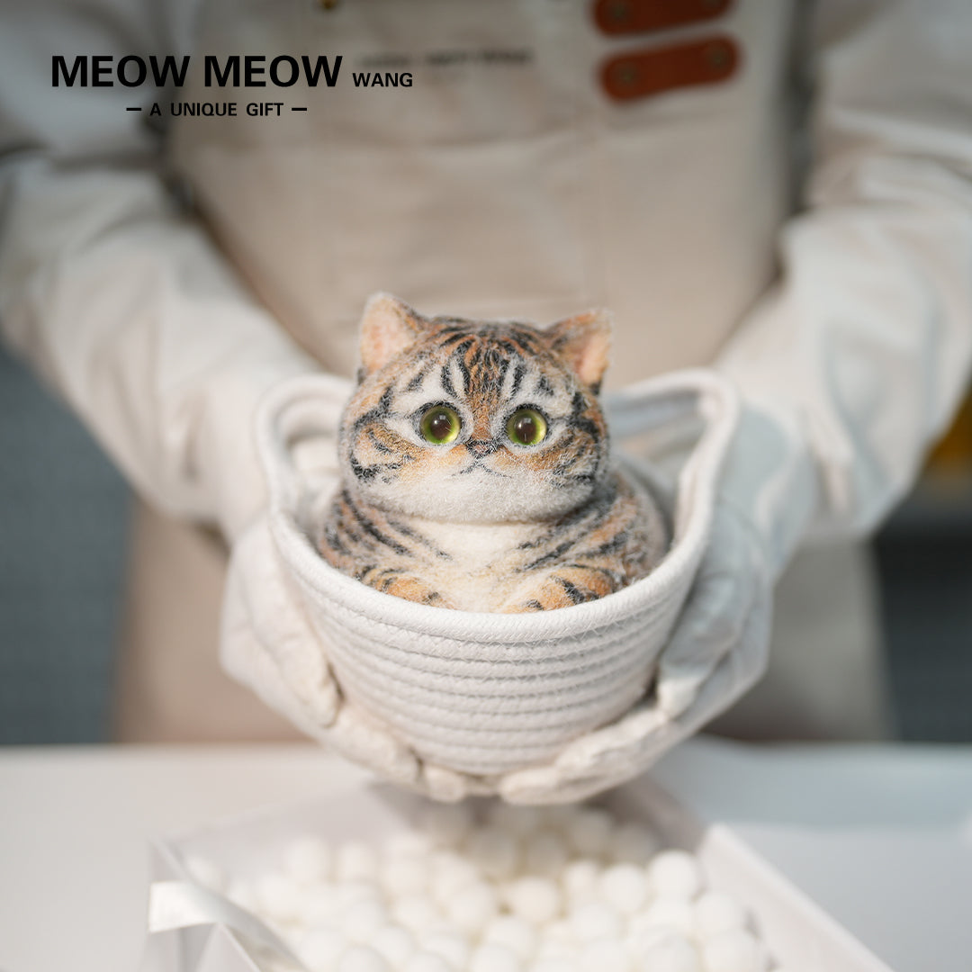 C26:Chubby Little Tiger Cat