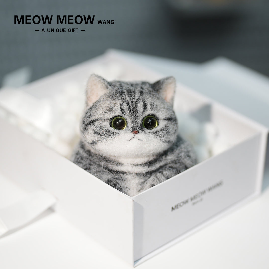 C25:A Chubby Silver-Grey Cat