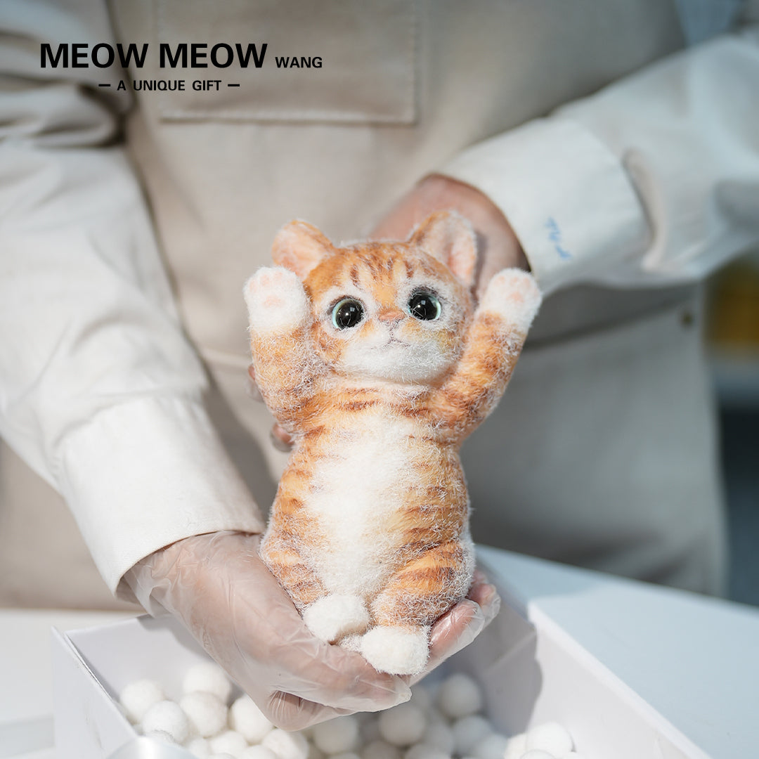 B12:Rare Blue-Eyed Ginger Cat