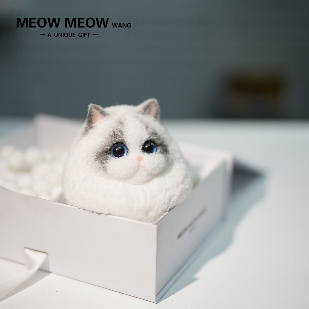A18:Super Cute Light-Coloured Ragdoll Cat