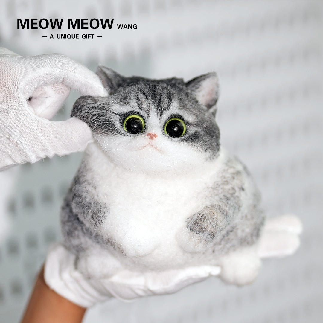 C17:Raccoon Cat With White Gloves And Green Eyes.