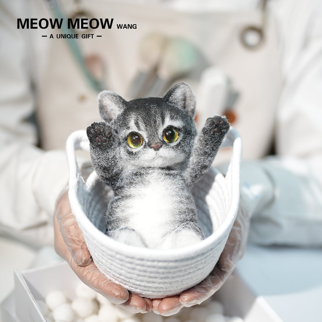 B06:Black Slim Tabby With Yellow-Green Eyes