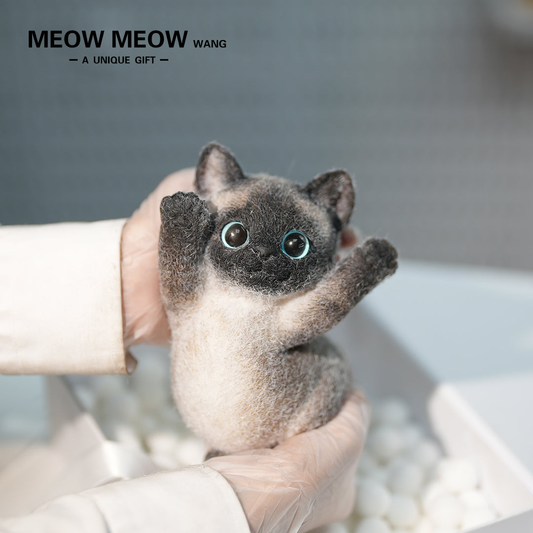 B13:Soft And Skinny Siamese Cat