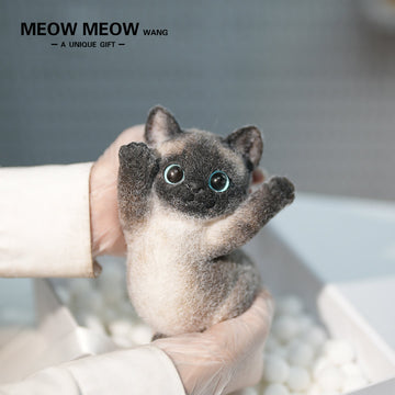 B13:Soft And Skinny Siamese Cat