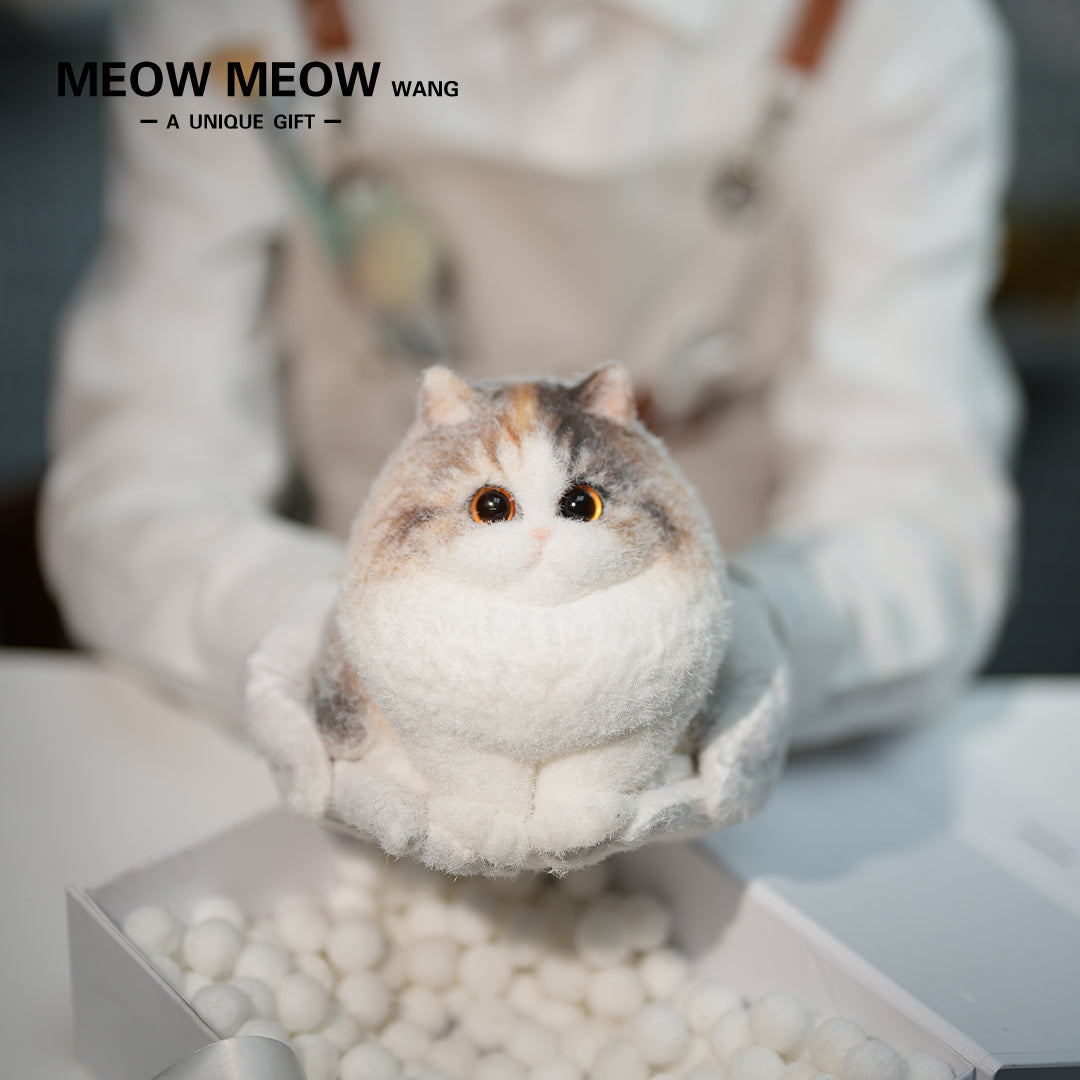 A20:A Long-Haired Calico Hybrid Cat