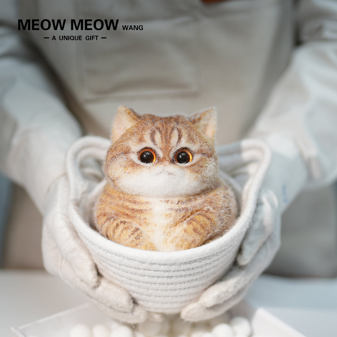 C41:Soft, Cute Chubby Orange Cat