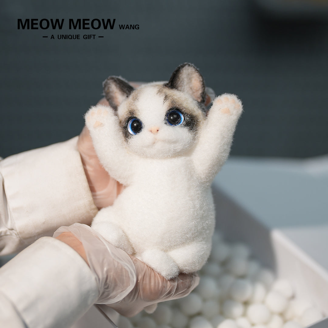 B17:Blue-Eyed Cute Doll Cat Raising Its Paw