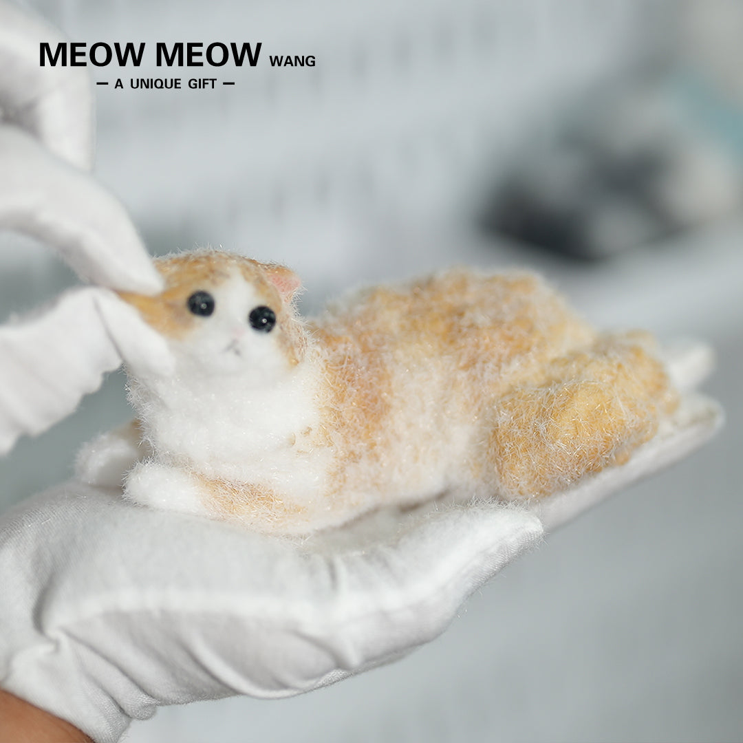 E05:Cute And Lively Orange Kitten