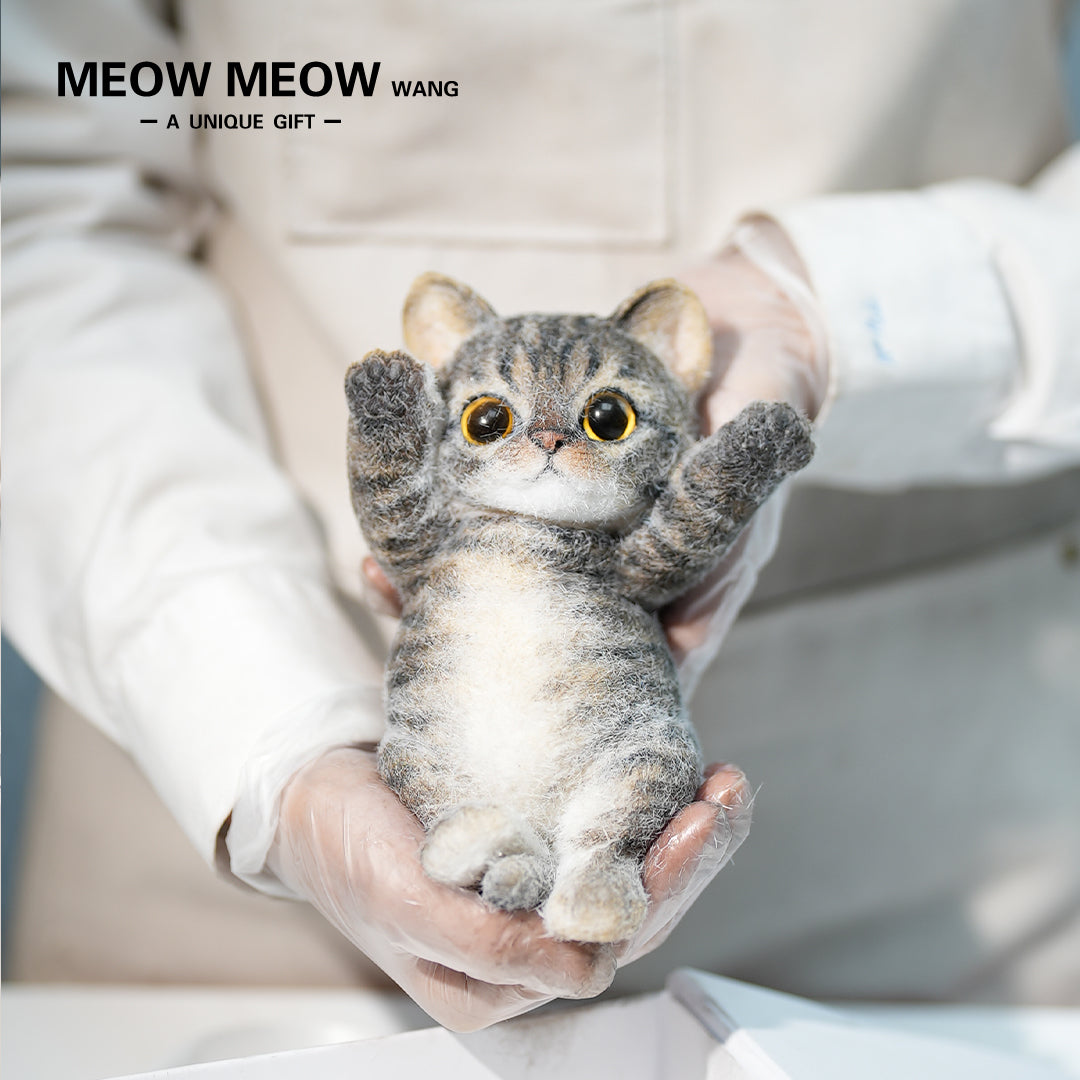 B10:A Cute Yellow-Brown Kitten
