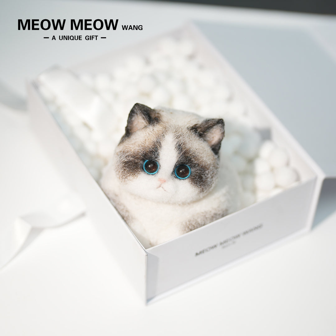 C36:Chubby Elf Ragdoll Cat
