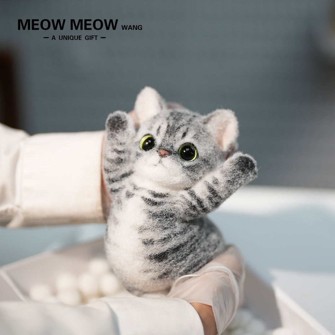 B11:A Tabby Cat With Green Eyes