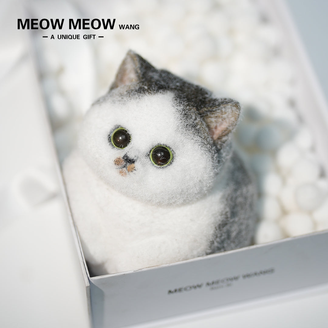 C23:A Cat With A Yellow Beard