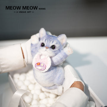 B20:Purple Bib Kitten