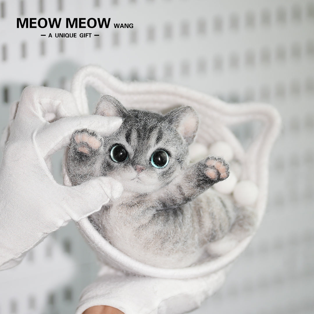 B07:Skinny Cat With Pink Paws And Blue Eyes