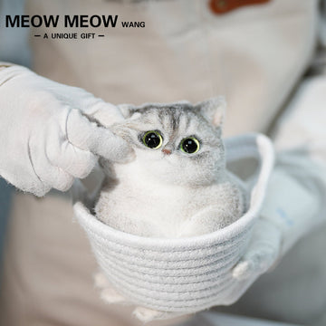 C34:Adorable Chubby Kitten In A Basket