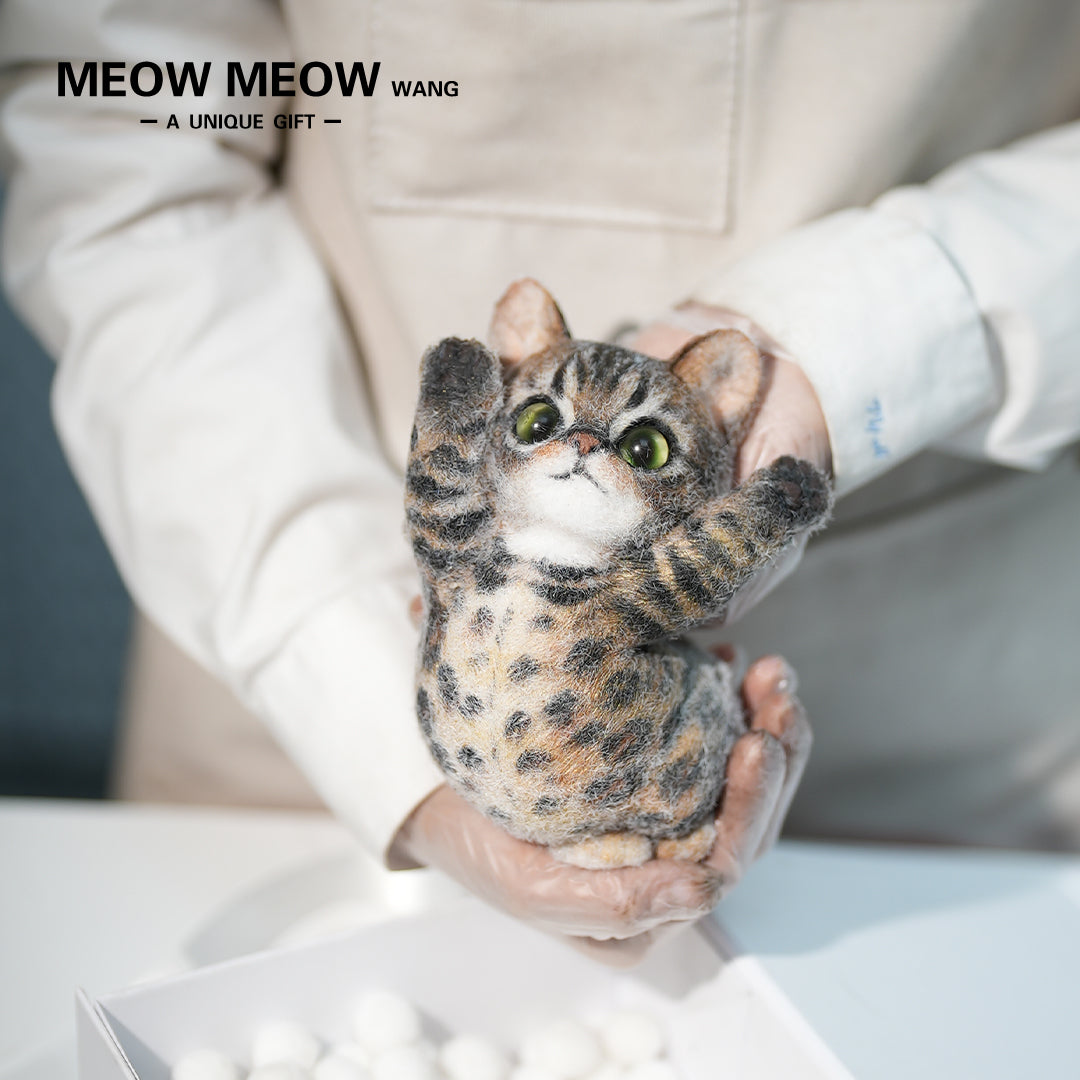 B14:A Golden Leopard Cat With A Bloated Belly