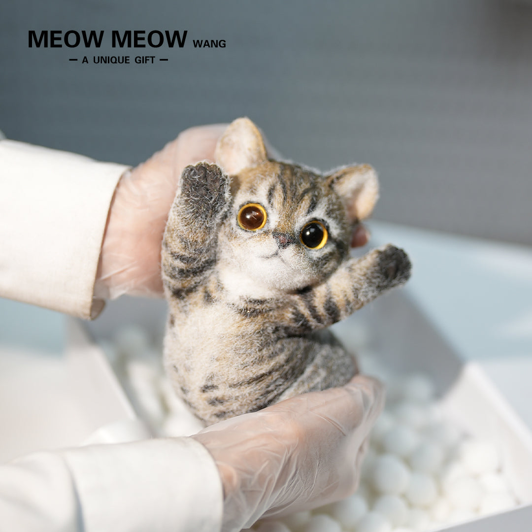 B21:A Soft Yellow-Brown Tabby Kitten