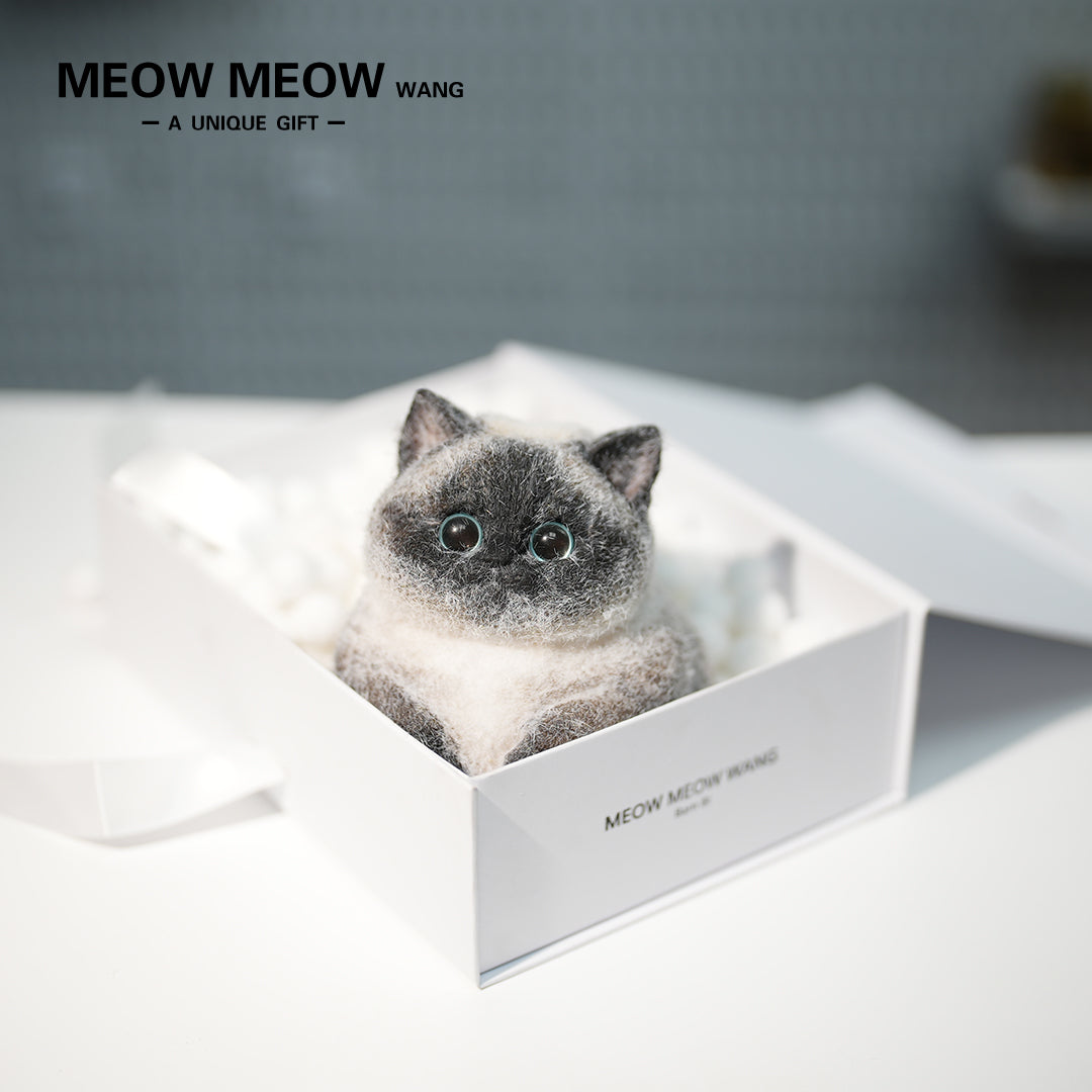 C40:Point-Coloured Siamese Cat