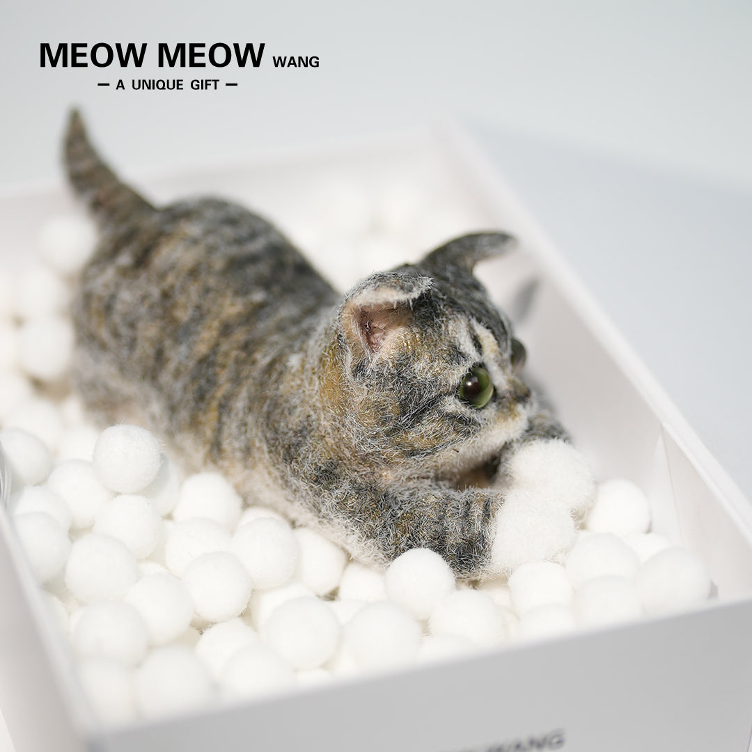 B22:A Lying Tabby Cat