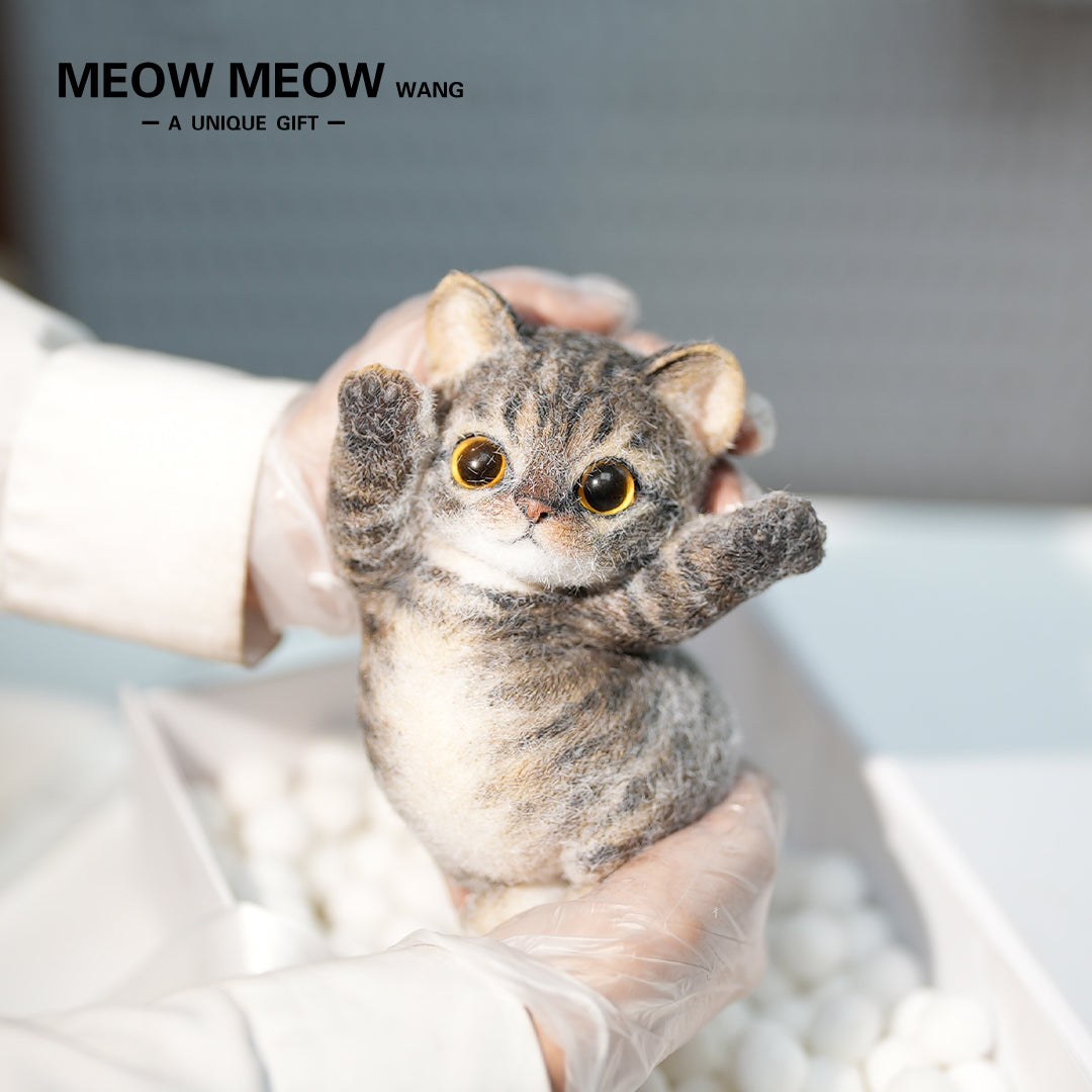 B10:A Cute Yellow-Brown Kitten