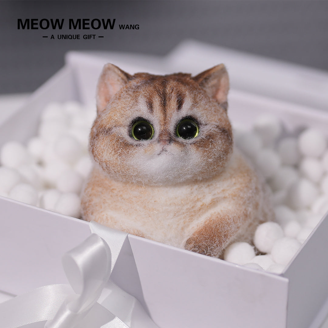 C02: Cute Chubby Squishy Kitty with Pink Ear